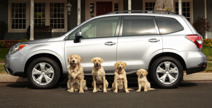subaru-dog-tested-dog-approved-commercials