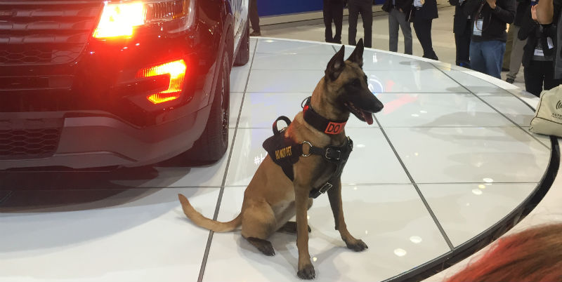 Dog Unveils Ford Police Interceptor Chicago Auto Show Keegan