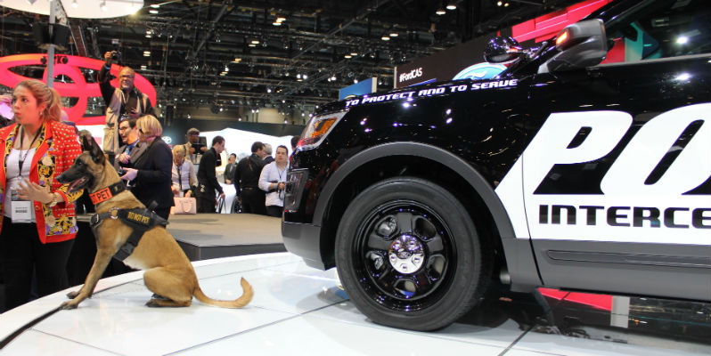 2016 Ford Police Interceptor Chicago Auto Show Dog Keegan Reveal Unveiling